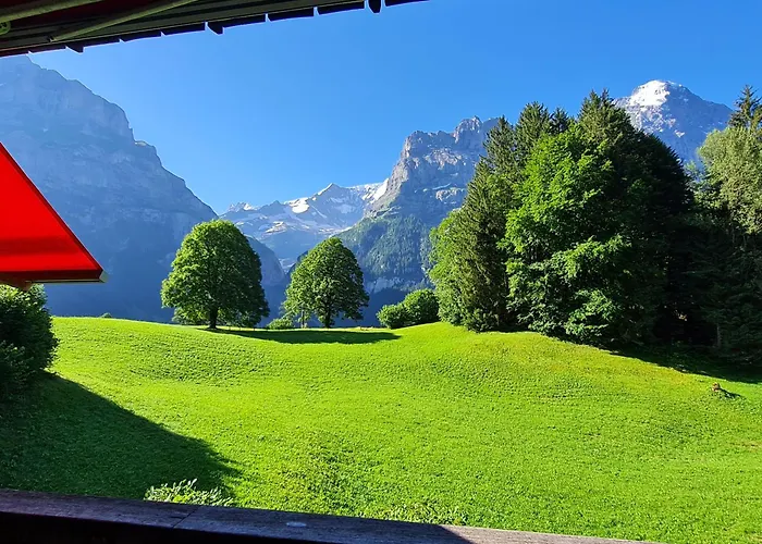 Chalet Grindelwald Gletscher - Boutique Apartment